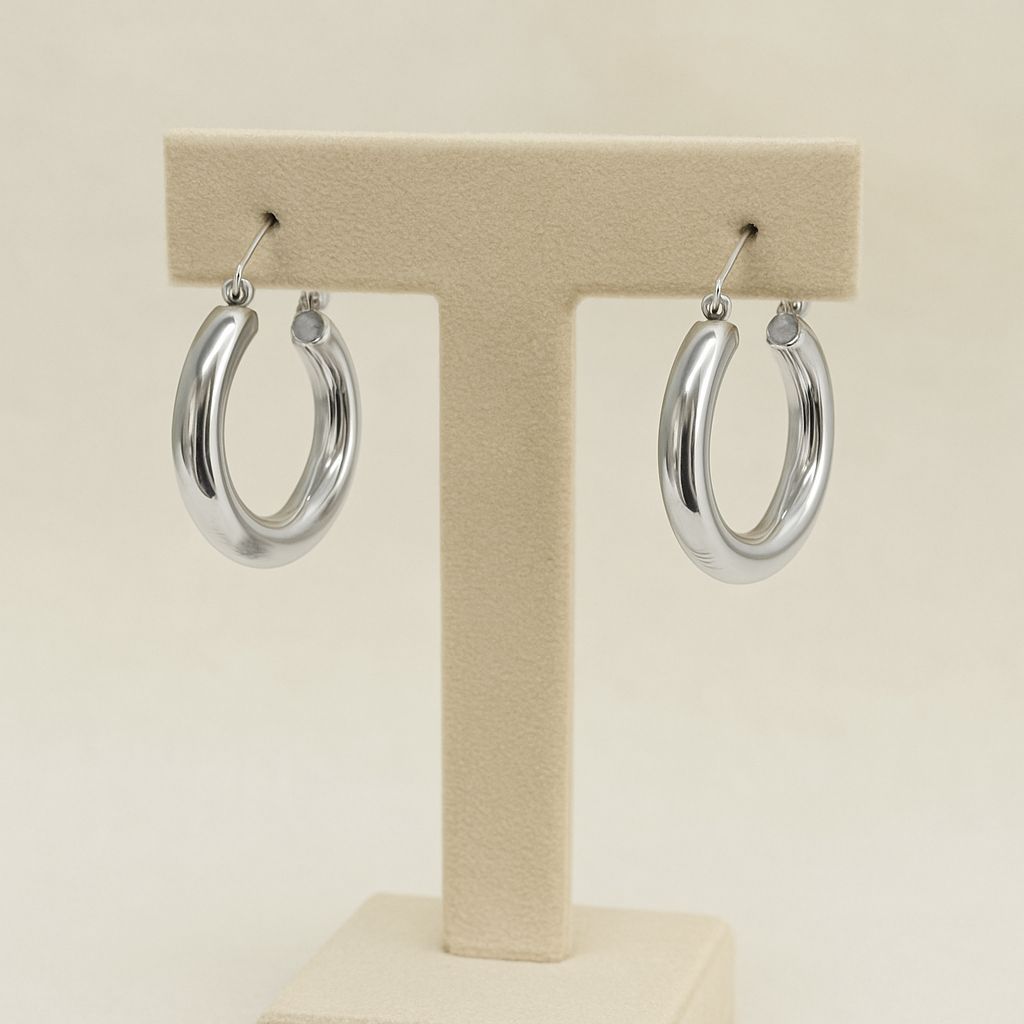 Argola de aço inox grossa 2 cm